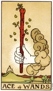 Ace of Wands tarot card