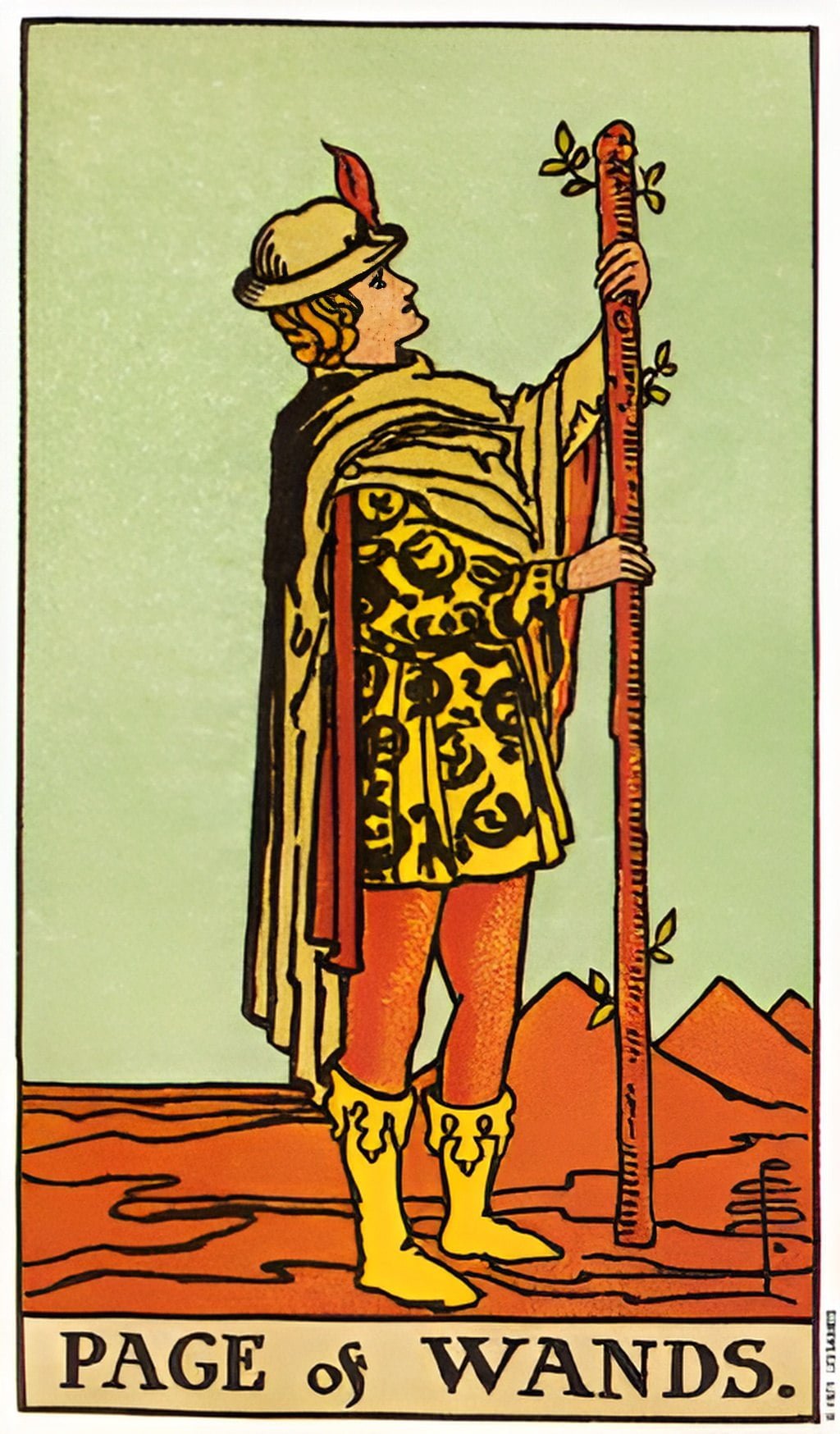 Page of Wands tarot card