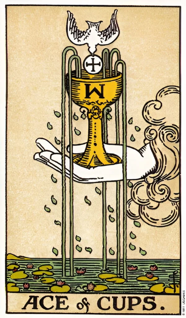 Ace of Cups tarot card