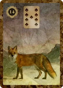 fox lenormand