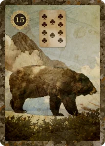 bear lenormand