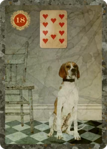 dog lenormand