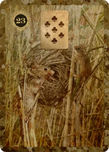 mice lenormand