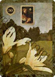32 lily lenormand