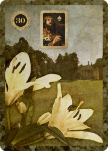 32 lily lenormand