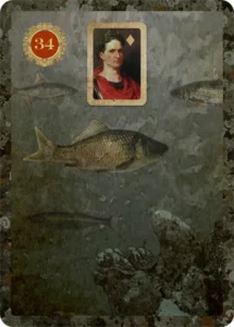 fish lenormand