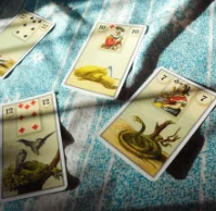 Lenormand Reading For Situation