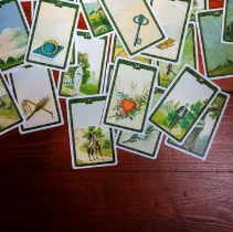 Lenormand Card of the Day