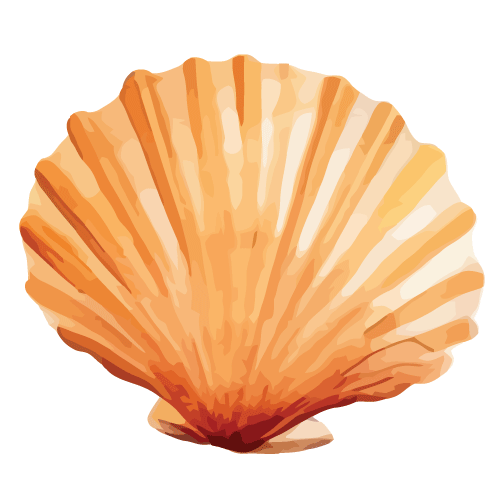 Seashell Oracle