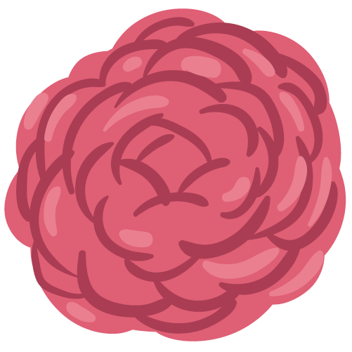 Rose Reading