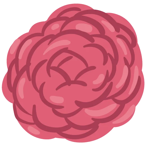 Rose Reading