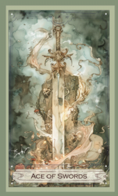 card-31