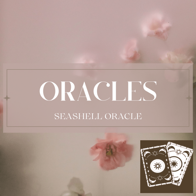 seashell oracle